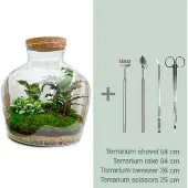 Urbanjngl Diy Terrarium - Fat Joe - ↕ 30 Cm