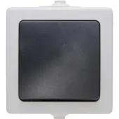 Kopp 565756004, Tasten, Schwarz, Grau, Thermoplast, IP44, 250 V, 10 A
