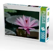 CALVENDO Februar 1000 Teile Puzzle quer 640x480mm, Stephan Elisabeth; 7391128