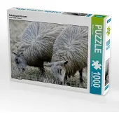 CALVENDO Schafe beim Grasen 1000 Teile Puzzle quer 640x480mm, Cross Martina; 7316186