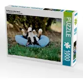 CALVENDO Bullterrierwelpe doest 1000 Teile Puzzle quer 640x480mm, Janetzek Yvonne; 7444908