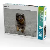 CALVENDO Dackel on Tour 1000 Teile Puzzle quer 640x480mm, ; 7315432