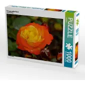CALVENDO Orange gelbe Rose 1000 Teile Puzzle quer 640x480mm, ; 7312147