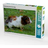 CALVENDO Rosettenmeerschweinchen Baby 1000 Teile Puzzle quer 640x480mm, ; 7304529