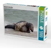 CALVENDO Spielende Kegelrobben 1000 Teile Puzzle quer 640x480mm, Streiparth Katrin; 7430036