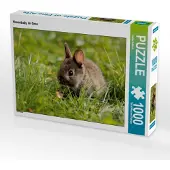CALVENDO Hasenbaby im Gras 1000 Teile Puzzle quer 640x480mm, Hultsch Heike; 7287672