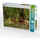 CALVENDO Damhirsche 1000 Teile Puzzle quer 640x480mm, Klatt Arno; 7292563