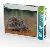 CALVENDO Igel 1000 Teile Puzzle quer 640x480mm, Trunk Alfred; 7416489