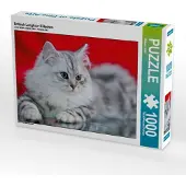 CALVENDO Britisch Langhaar Kätzchen 1000 Teile Puzzle quer 640x480mm, Viola Melanie; 7305749