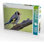 CALVENDO Stieglitz 1000 Teile Puzzle quer 640x480mm, Wilczek Dieter-M.; 7319133