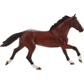 MOJO Vollblut