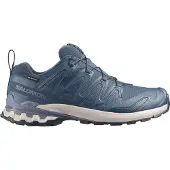 Salomon Herren Trailrunningschuhe SHOES XA PRO 3D V9 GTX Spellb/Grisai/Mar