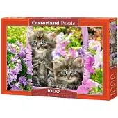 Castorland Puzzle mit 1000 Teilen: Kätzchen im Garten 104086