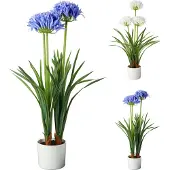 Basics Agapanthus 50x80cm Künstliche Pflanze Sortiert