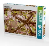 CALVENDO Blaumeise im Frühling 1000 Teile Puzzle quer 640x480mm, Jackson Lain; 7383626