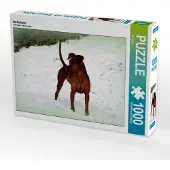 CALVENDO Im Schnee 1000 Teile Puzzle quer 640x480mm, Redl Ula; 7375632