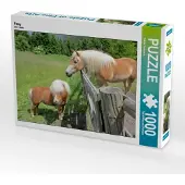 CALVENDO Pony 1000 Teile Puzzle quer 640x480mm, Lantzsch Katrin; 7429506