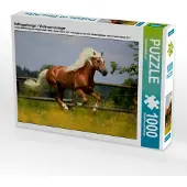 CALVENDO Haflingerhengst - Weltreservesieger 1000 Teile Puzzle quer 640x480mm, ; 7362813
