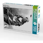CALVENDO Die Sehne klingt.... 1000 Teile Puzzle hoch 480x640mm, Küster Friederike; 7323492