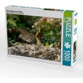 CALVENDO Ährenrettung einer Libelle 1000 Teile Puzzle quer 640x480mm, Seidel Thilo; 7377290