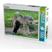 CALVENDO An der Quelle 1000 Teile Puzzle quer 640x480mm, Martin Wilfried; 7341930