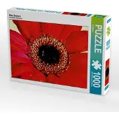 CALVENDO Rote Gerbera 1000 Teile Puzzle quer 640x480mm, ; 7364745