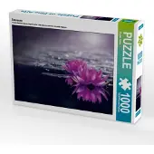 CALVENDO Seerosen 1000 Teile Puzzle quer 640x480mm, Felber Monika; 7294224