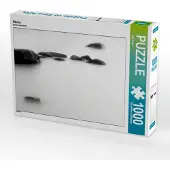 CALVENDO Steine 1000 Teile Puzzle quer 640x480mm, Rosin Dirk; 7384755