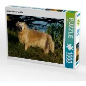 CALVENDO Golden Retriever am Ufer 1000 Teile Puzzle quer 640x480mm, ; 7303084