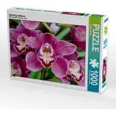 CALVENDO Hybrid-Cymbidium 1000 Teile Puzzle quer 640x480mm, Woehlke Juergen; 7365603