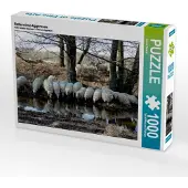 CALVENDO Rotterwiese-Aggerauen 1000 Teile Puzzle quer 640x480mm, Becker Bernd; 7310416
