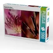 CALVENDO Clematis Nelly Moser 1000 Teile Puzzle quer 640x480mm, ; 7374496