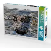 CALVENDO Alligator 1000 Teile Puzzle quer 640x480mm, Bade Uwe; 7301746