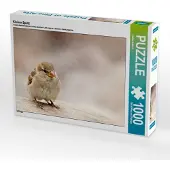 CALVENDO Kleiner Spatz 1000 Teile Puzzle quer 640x480mm, Hultsch Heike; 7291652