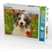 CALVENDO Australian Shepherd 1000 Teile Puzzle quer 640x480mm, Köntopp Kathrin; 7405263