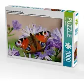 CALVENDO Schmetterlings Schönheit 1000 Teile Puzzle quer 640x480mm, Witkowski Bernd; 7377600
