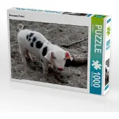 CALVENDO Rosarotes Ferkel 1000 Teile Puzzle quer 640x480mm, ; 7312272