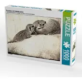 CALVENDO Kuscheln mit Erdmännchen 1000 Teile Puzzle quer 640x480mm, Hultsch Heike; 7300269