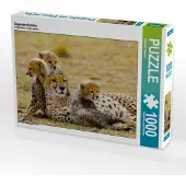 CALVENDO Gepardenfamilie 1000 Teile Puzzle quer 640x480mm, Stanzer Elisabeth; 7453426