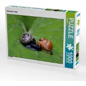 CALVENDO Schnecken Liebe 1000 Teile Puzzle quer 640x480mm, ; 7304368
