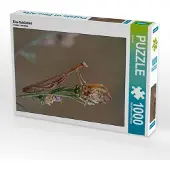 CALVENDO Eine Schönheit 1000 Teile Puzzle hoch 480x640mm, ; 7336906