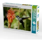 CALVENDO Violettkron-Brilliantkolibri (Eugenes fulgens) 1000 Teile Puzzle quer 640x480mm, Bergwitz Uwe; 7386901