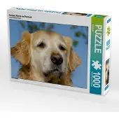 CALVENDO Golden Retriever Portrait 1000 Teile Puzzle quer 640x480mm, ; 7311098