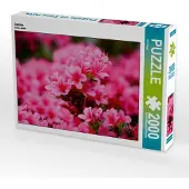 CALVENDO Azalee 2000 Teile Puzzle quer 900x670mm, Kapp Lilo; 7394361