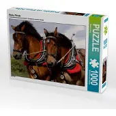 CALVENDO Starke Pferde 1000 Teile Puzzle quer 640x480mm, Berg Martina; 7380561