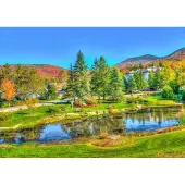 Bluebird Puzzle Puzzle Stowe Vermont USA - 1000 Teile