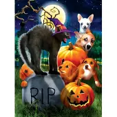 Sunsout Puzzle Halloween Katze - 1000 Teile Karton Puzzlespiel