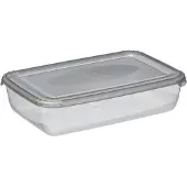 PLAST TEAM Vertriebs GmbH plast team Gefrierdose Polar 3,0 Liter grau rechteckig