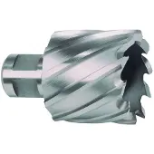 RUKO Kernbohrer Durchmesser 12mm HSS-Co Länge 30mm Weldon - 108212E