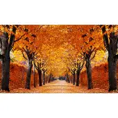 Papermoon Fototapete "Autumn Alley", bunt, B:1,5m L:1,11m, Vlies, Tapeten, Fototapete